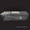 Collapsible Squirrel Trap Cage Squirrel Trap Steel Rabbit Trap Cage Supplier